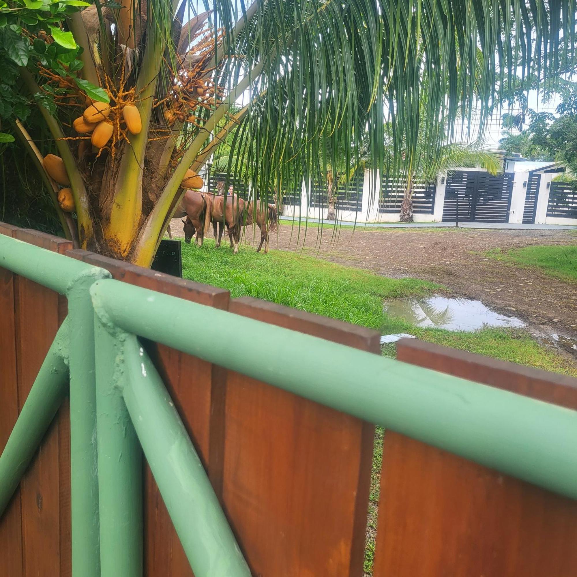 Bed and Breakfast Madre Terra Uvita Exterior foto