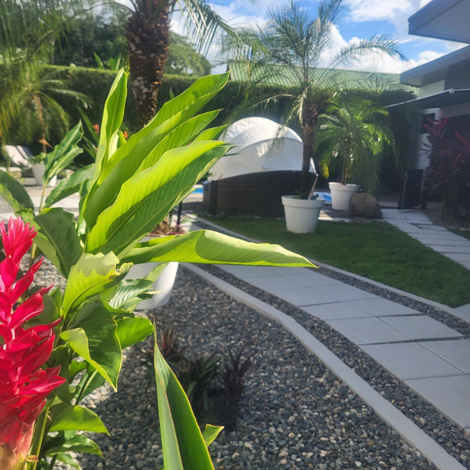 Bed and Breakfast Madre Terra Uvita Exterior foto