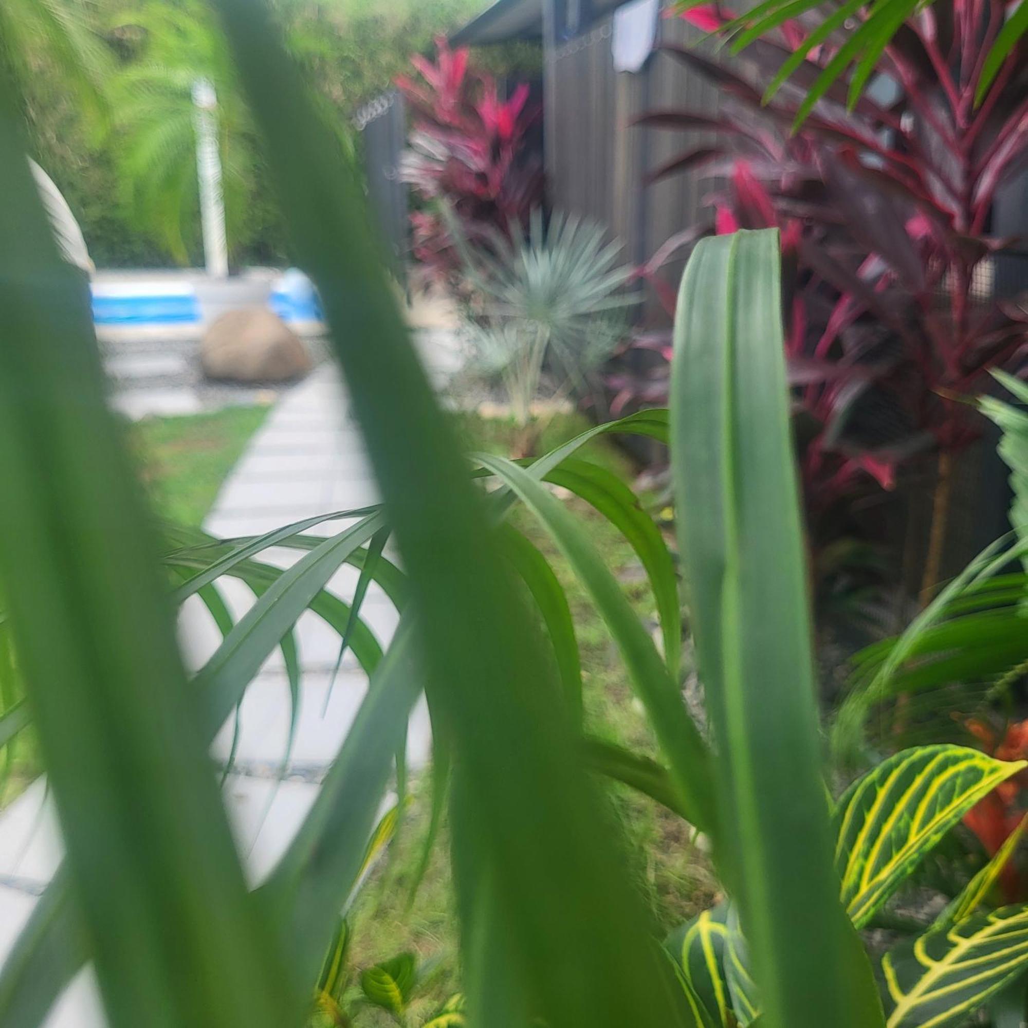 Bed and Breakfast Madre Terra Uvita Exterior foto