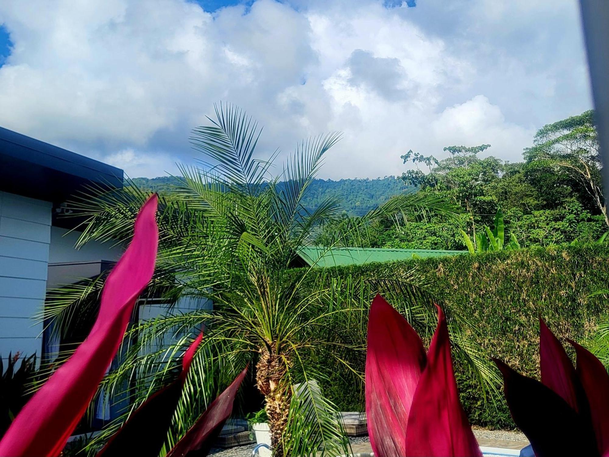 Bed and Breakfast Madre Terra Uvita Exterior foto