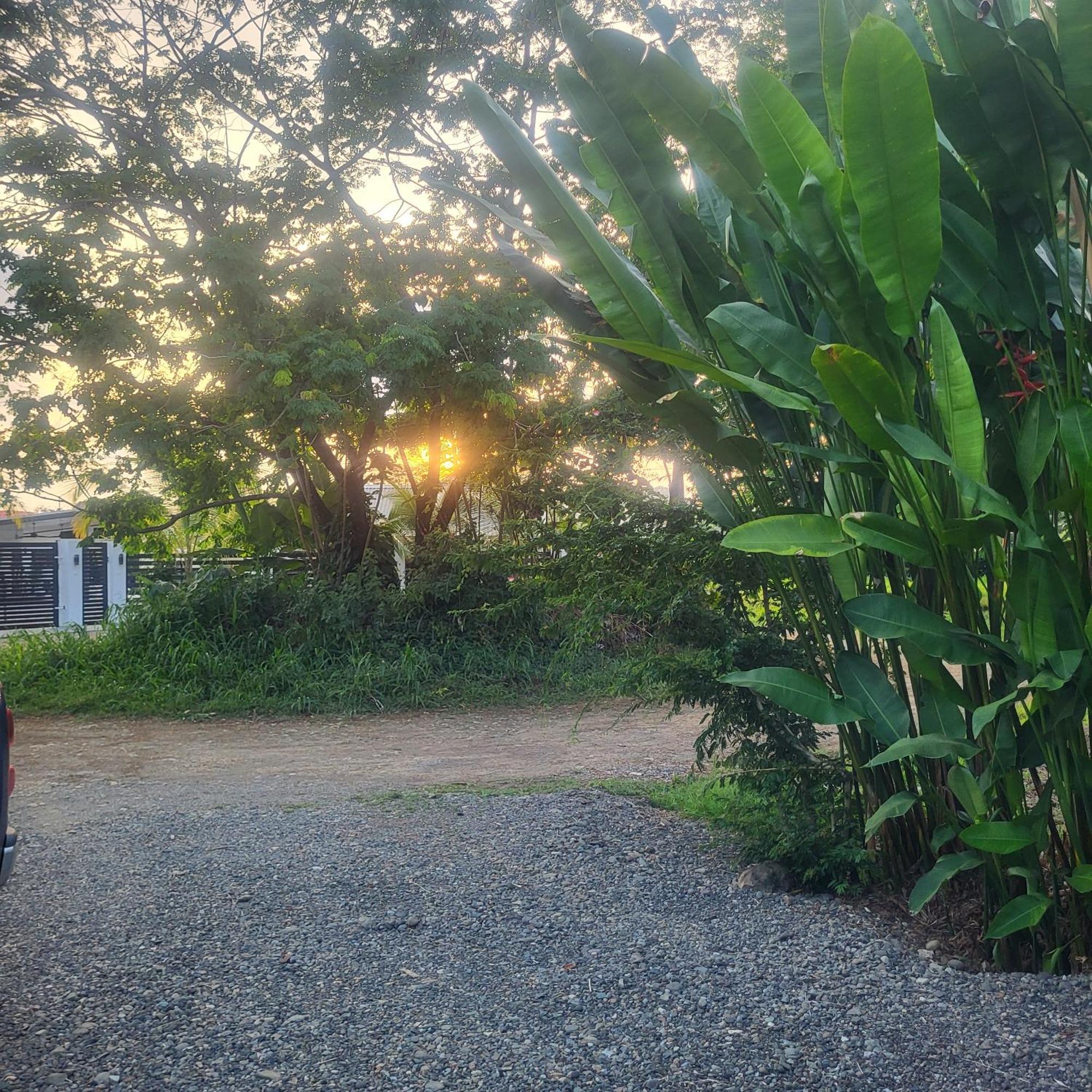 Bed and Breakfast Madre Terra Uvita Exterior foto